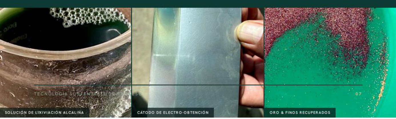 Solución de lixiviación alcalina, cátodo de electro-obtención y oro y finos recuperados